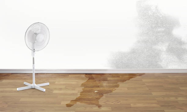 Best Local water damage restoration  in Waldron, AR
