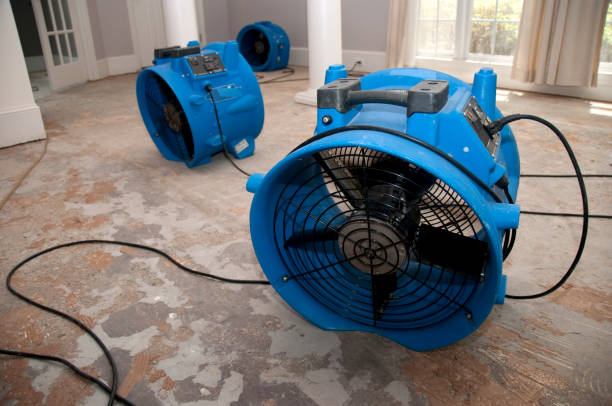 Best Commercial water damage restoration  in Waldron, AR