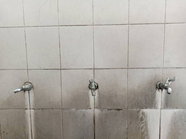 Best Water damage restoration near me  in Waldron, AR