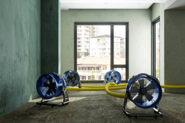 Best Residential water damage restoration  in Waldron, AR